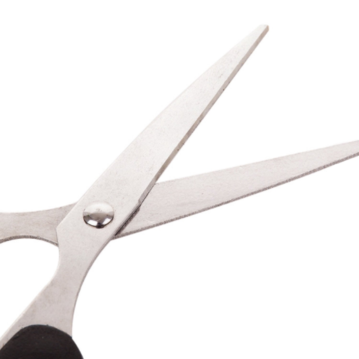 Detailed view of the 160mm scissors, focusing on the stainless steel blades and ergonomic handle Detailed view of the 160mm scissors, focusing on the stainless steel blades and ergonomic handle